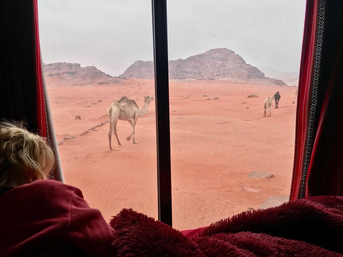 Wadi Rum Starlight Camp Exteriör bild